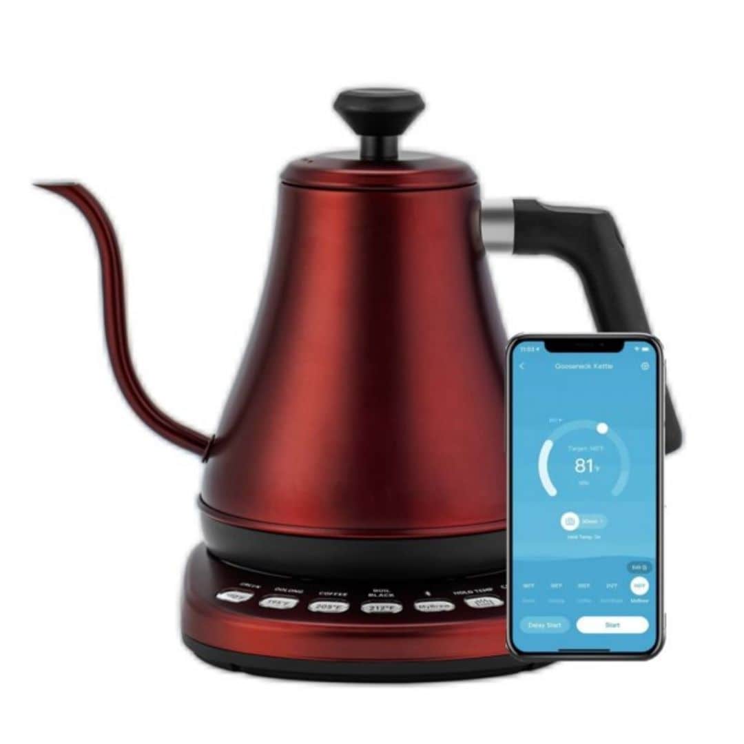 Smart Gooseneck Kettle Electric with Temperature Control Gary