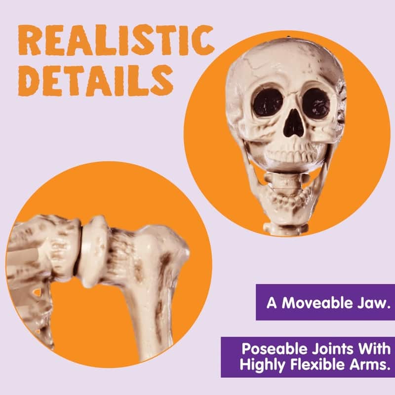 5.6 FT Halloween Posable Body Skeleton