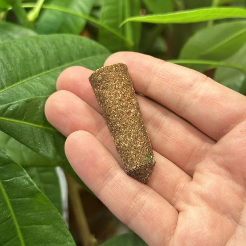 The Old Farmer's Almanac Houseplant & Flower Fertilizer Mini Spikes 6-4-6