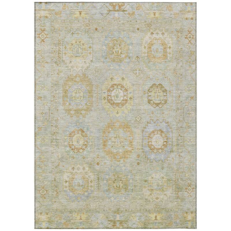 Machine Washable Indoor/ Outdoor Vintage Traditional Chantille Rug