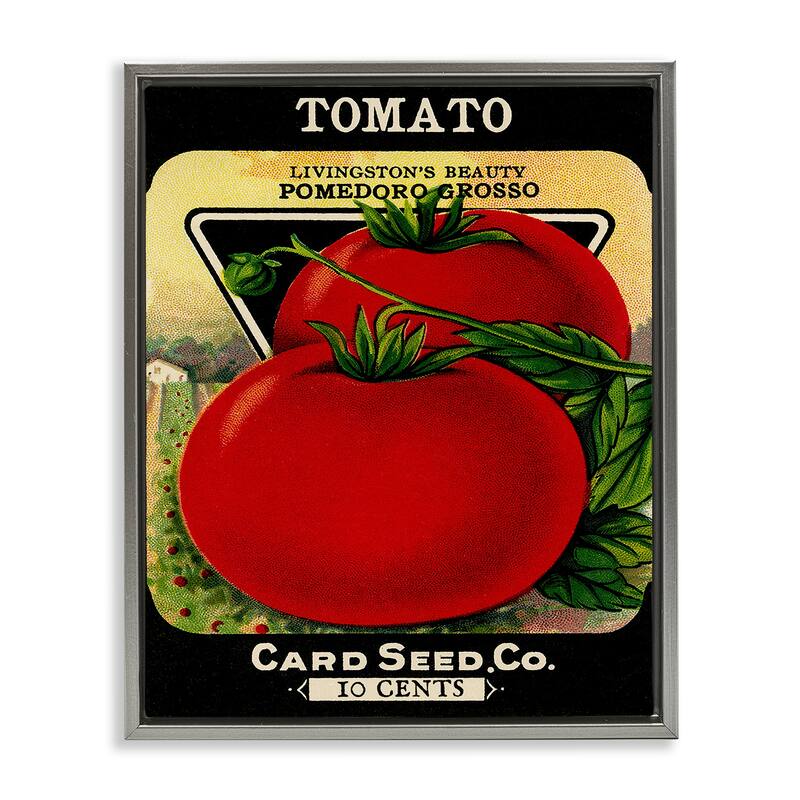 Stupell Vintage Garden Tomato Framed Floater Canvas Wall Art Design By Lil' Rue - 17 x 21 - Grey