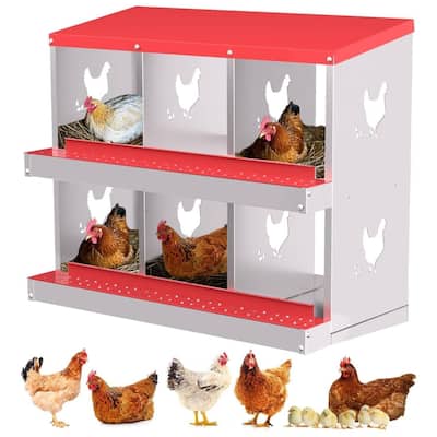 Chicken Nesting Boxes with Roll Out Egg Collection
