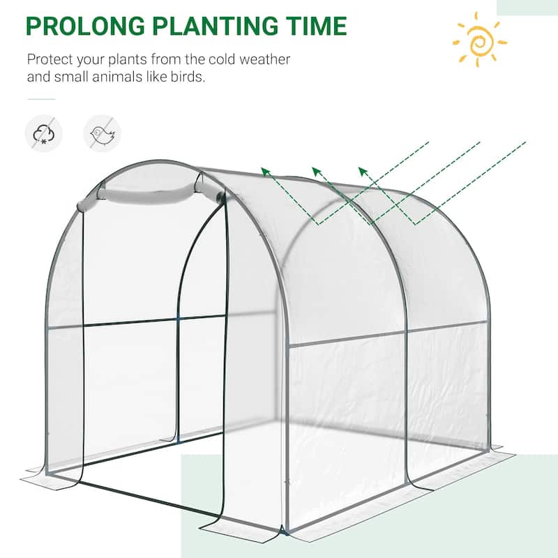 Dome Tunnel Greenhouse Plant Shed
