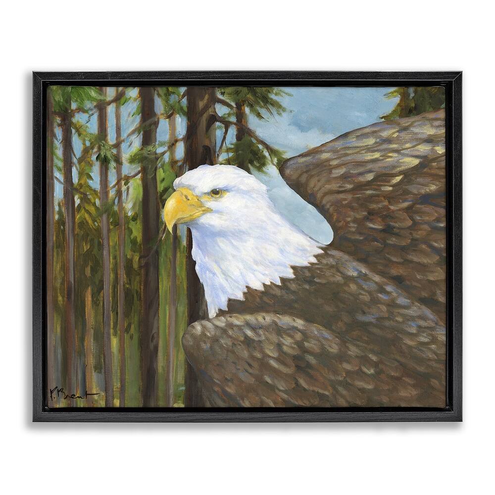 Stupell Woodland Eagle's View Framed Floater Canvas Wall Art Design By Paul Brent