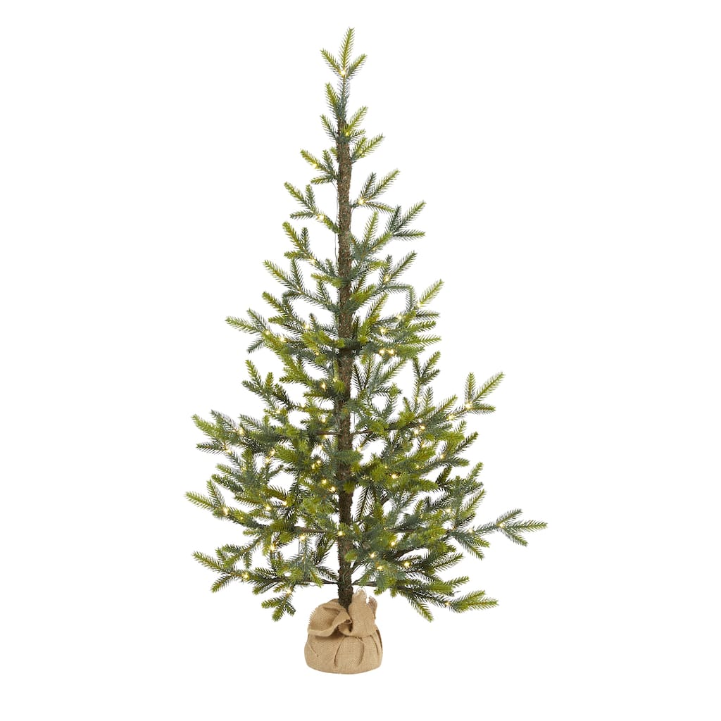 4' Fraser Fir "Natural Look" Christmas Tree with 100 Clear LED Lights - Green