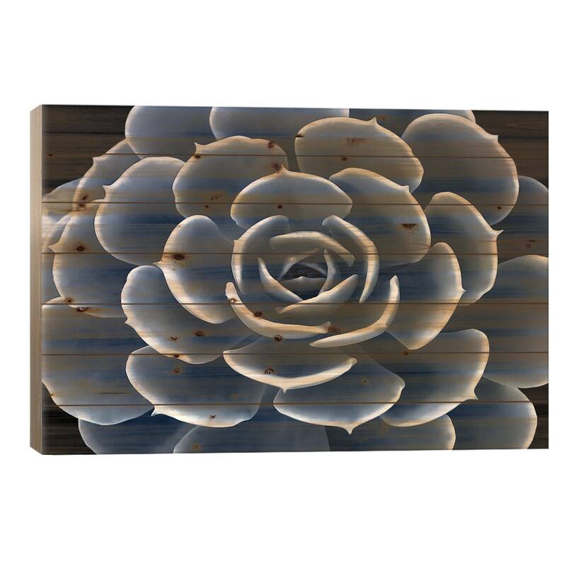 Indigo Succulent IV Print On Wood by Mia Jensen - Multi-Color - 18x26x1.5