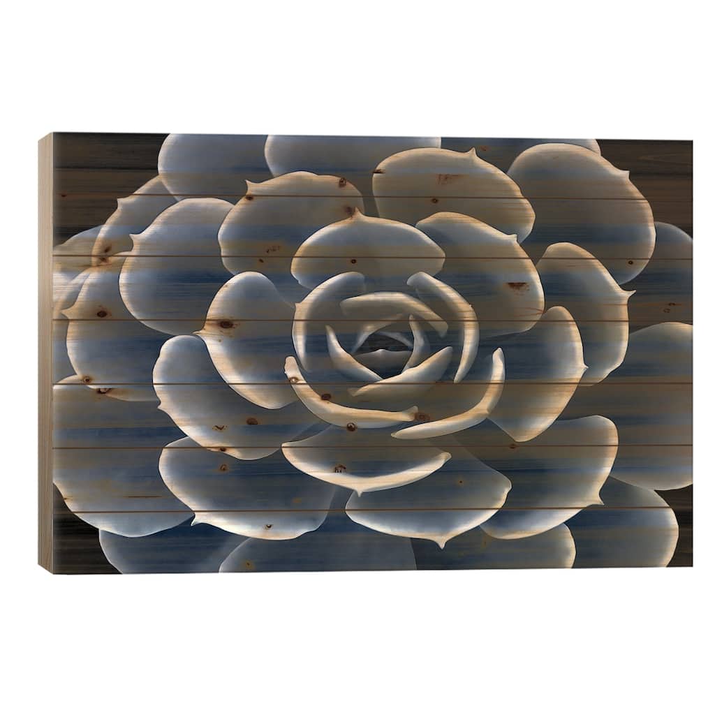 Indigo Succulent IV Print On Wood by Mia Jensen - Multi-Color