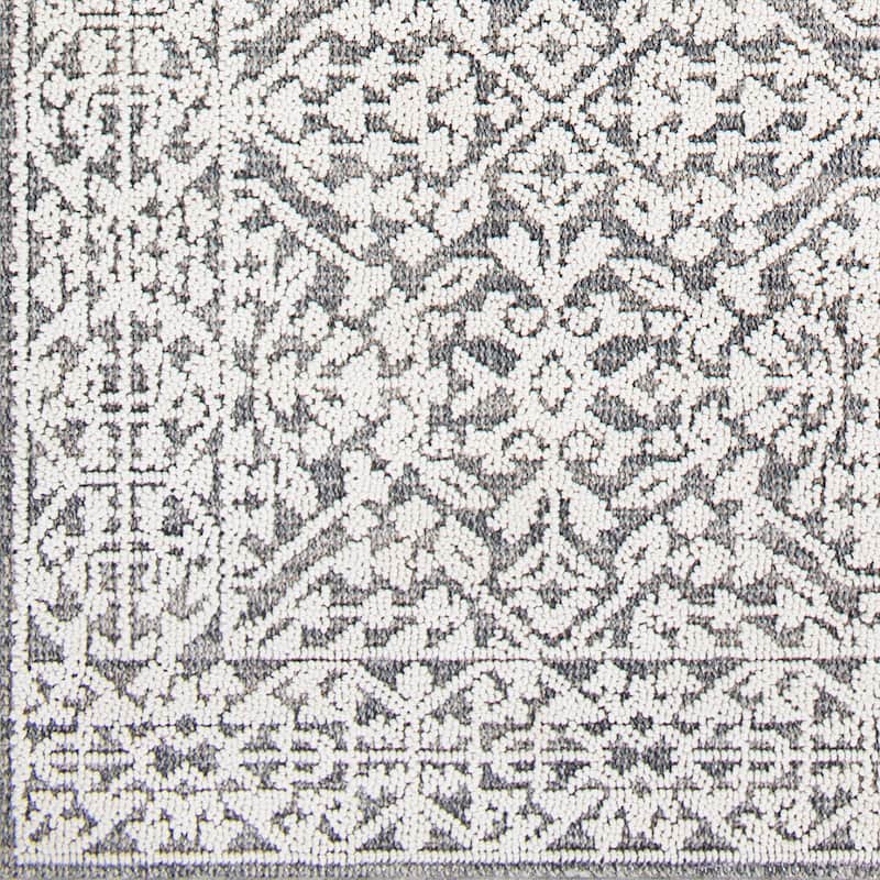 Hanks Indoor/ Outdoor Traditional Area Rug