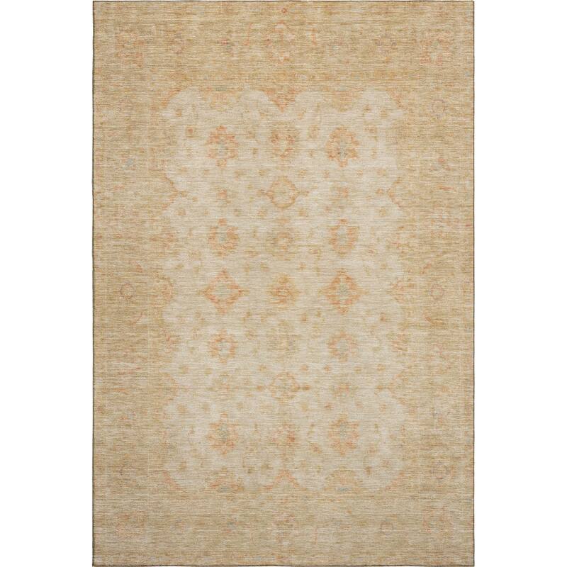 Premium Washable Super Soft Vintage Traditional Mayfield Rug