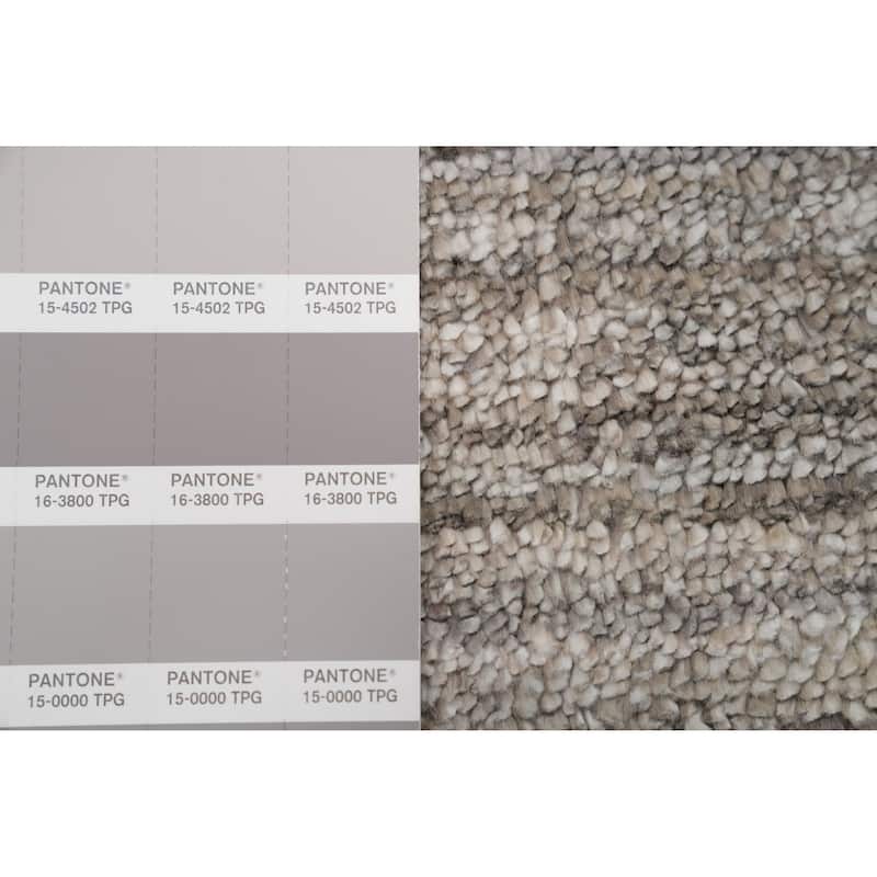 Hand Knotted Oriental Viscose Silk Carpet Tribal Animal Pictorial Greys & Charcoal Gabbeh Area Rug - 11' 8'' X 4' 11''