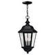 preview thumbnail 2 of 5, Hinkley Lighting 3 Light Outdoor Small Pendant from the Edgewater