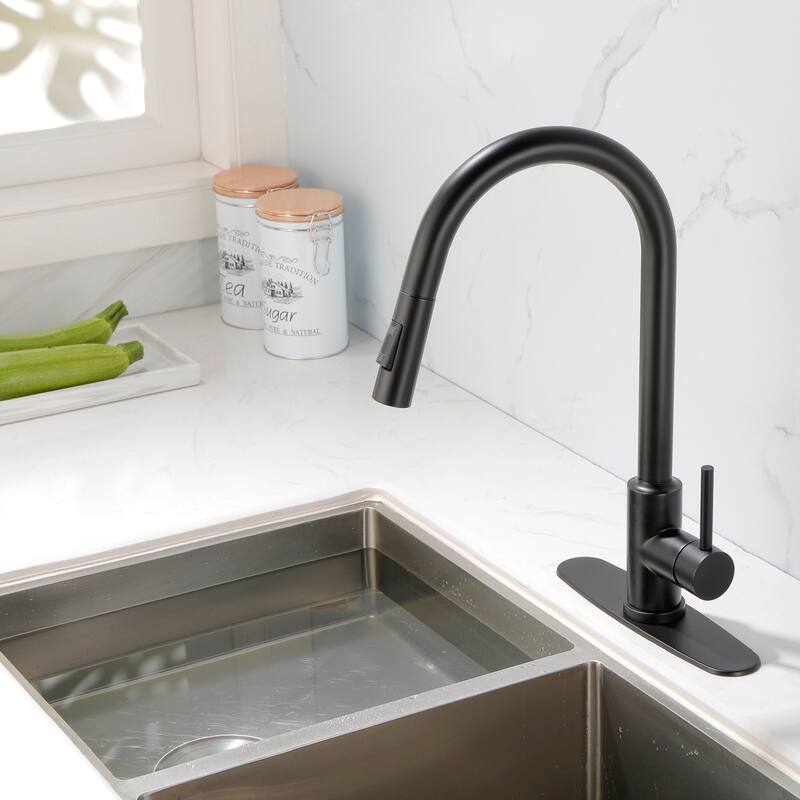 2-Function 1-Handle Pulldown Kitchen Faucet