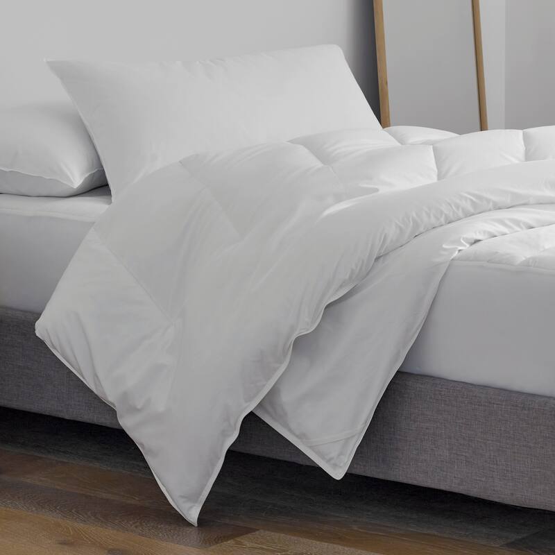 Martex Clean Essentials Standard White Twin Pack Pillow & Pillow Protector Set with SILVERbac Antimicrobial Technology