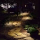 preview thumbnail 23 of 22, C Cattleya 16inch Low Voltage Black Aluminum LED Outdoor Landscape Path Lights