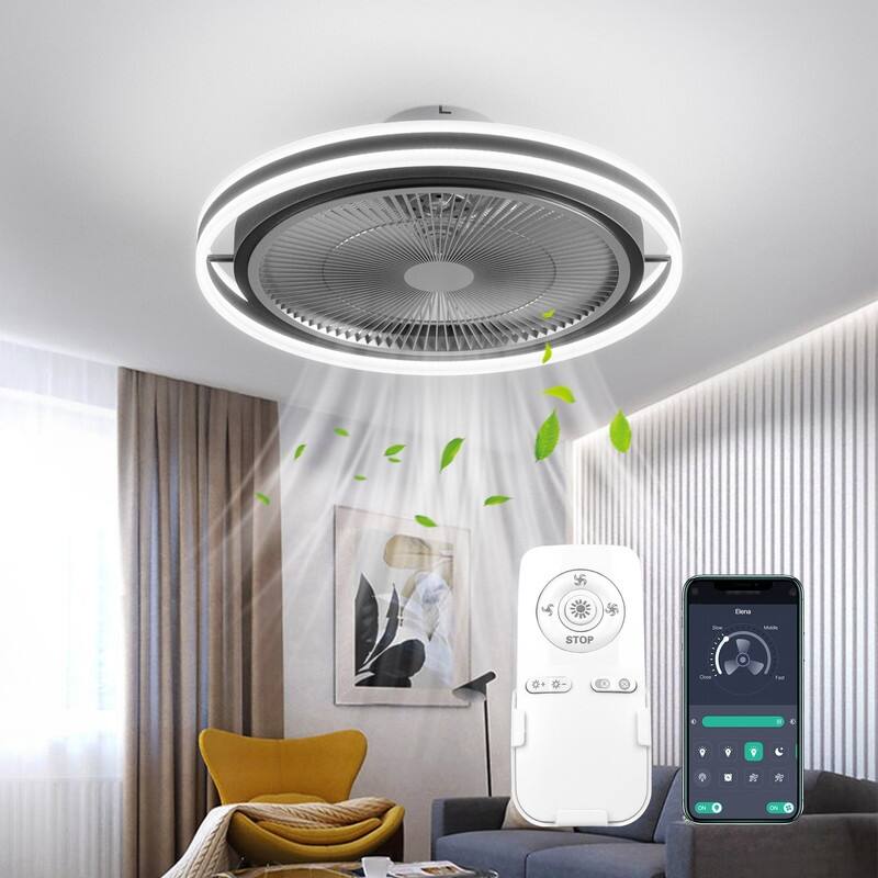 20'' Black Caged Dimmable Ceiling Fans with Lights and Remote On Sale