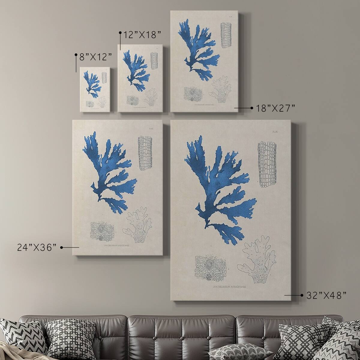 Blue Marine Algae VIII Premium Gallery Wrapped Canvas Ready to Hang