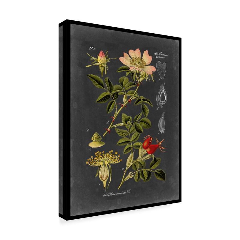 Vision Studio 'Midnight Botanical I' Canvas Art