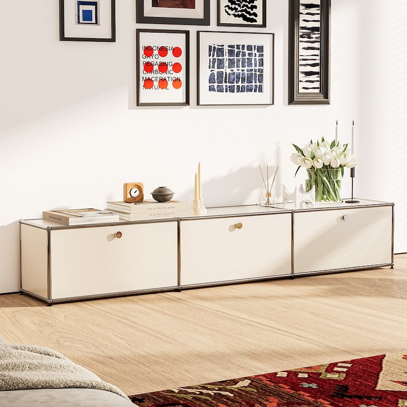 TV Stand Storage File Cabinet Organizer with Stainless Metal