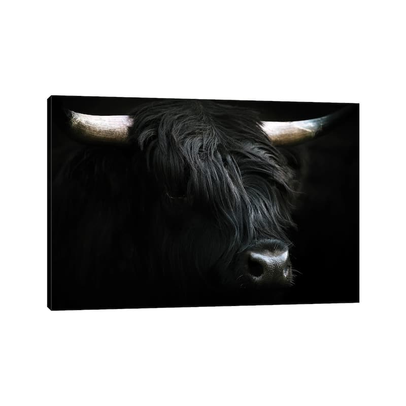 iCanvas "Portrait Of A Black Scottish Wooly Highland Cow In Norway" by Michael Schauer Canvas Print