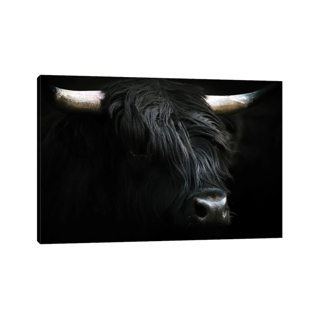 iCanvas "Portrait Of A Black Scottish Wooly Highland Cow In Norway" by Michael Schauer Canvas Print