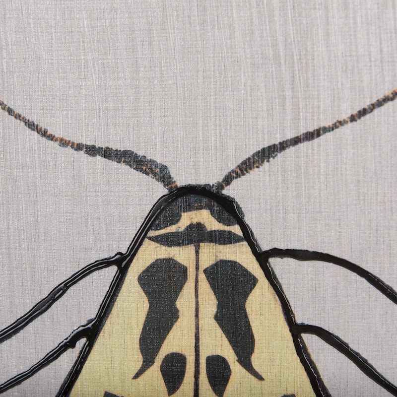 Moth III Framed Art Print