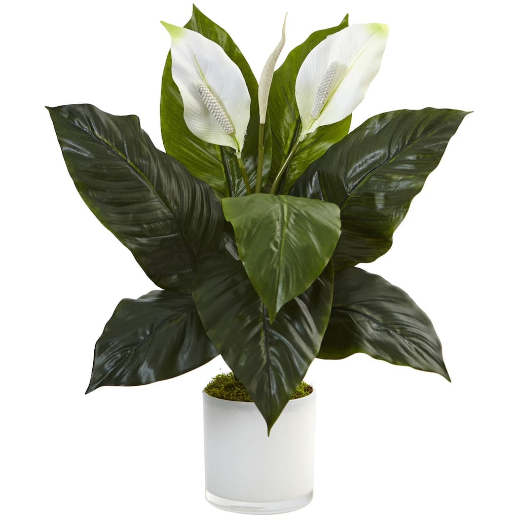 Artificial Plant in Vase, Green Decorative Indoor Plant, Medieval Moods Home Accent, 16"D x 21"W x 16"H - White - 20