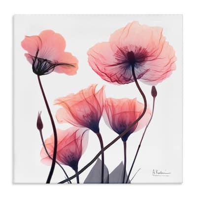 Stupell Elegant Modern Poppy Buds Canvas Wall Art Design By Albert Koetsier
