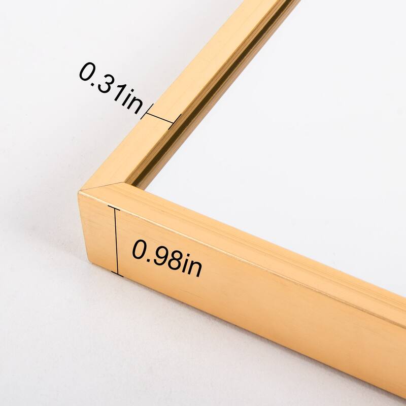 65" x 24" Full Length Mirror with Alloy Frame