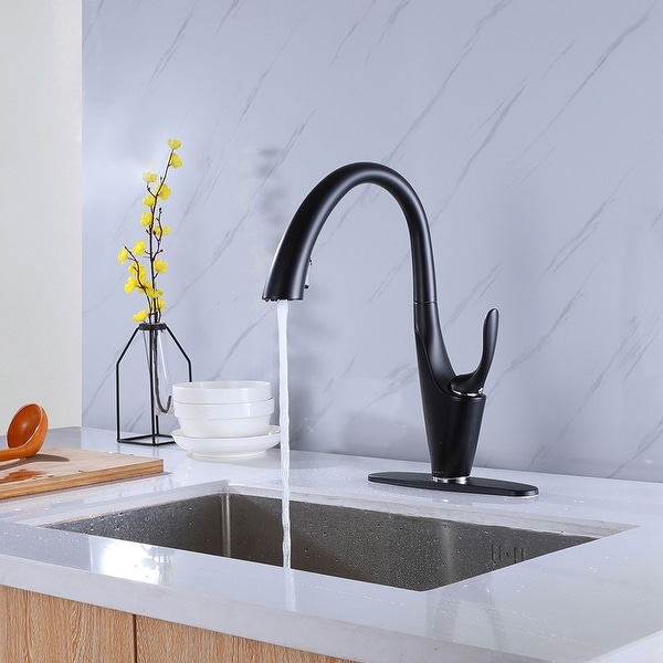 Black matte 2025 kitchen faucet