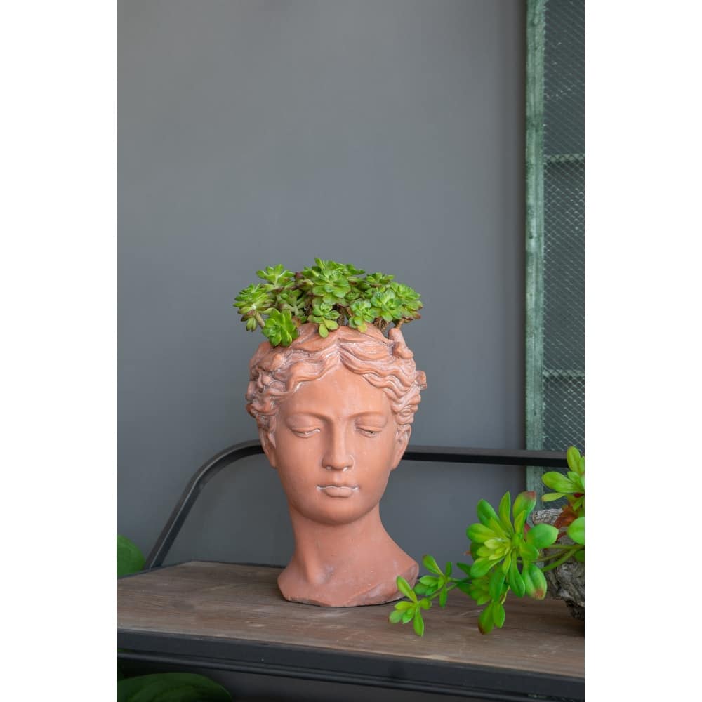D7x11" Visage Head Bust Planter, Brown