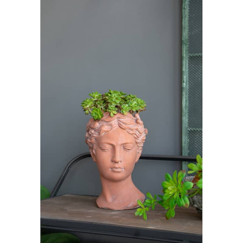 D7x11" Visage Head Bust Planter, Brown - Brown