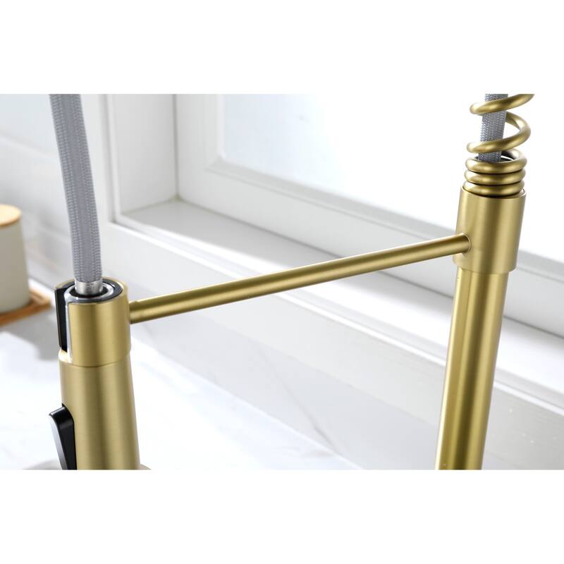 Kitchen Faucet with Pull Out Spraye