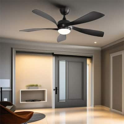 Modern Ceiling Fan With Led Light