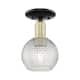 Option Black Antique Brass / Clear Basketweave