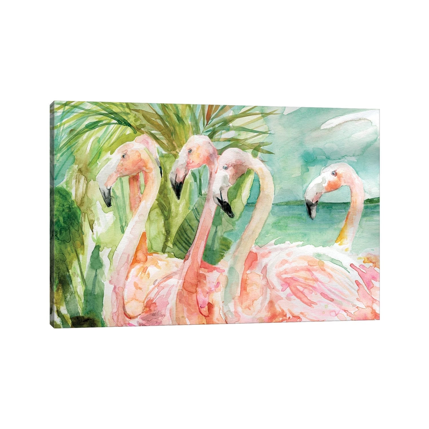 iCanvas "Pink Ladies" by Carol Robinson Canvas Print