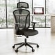 preview thumbnail 18 of 40, Ergonomic Mesh Executive Chair Home Office Chair with Lumbar Support, Headrest