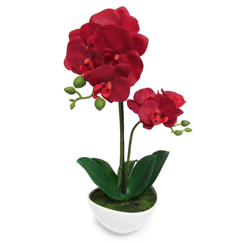 Artificial Phalaenopsis Orchid Flower Arrangement in Pot 16in - 16" H x 8" W x 8" DP - Red
