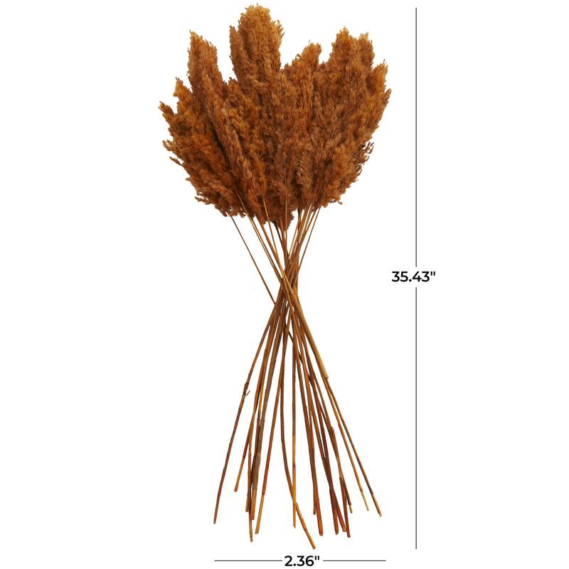 Dried Plant Pampas Grass Home Decor Natural Foliage with Long Stems - Orange - Roche River Decor