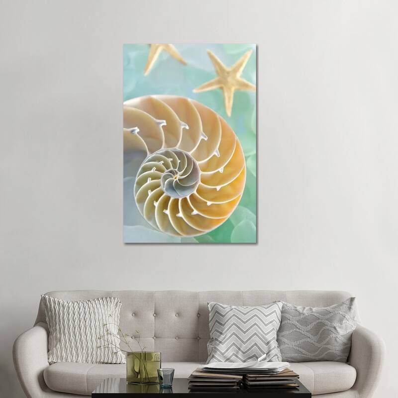 iCanvas "Seaglass 2" by Alan Blaustein Canvas Print - 48x32x1.5
