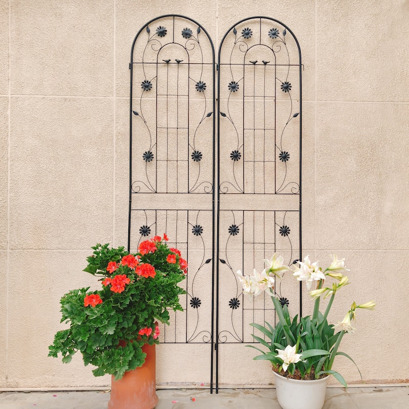 2 Pack Metal Garden Trellis Rustproof Trellis for Climbing Plants Outdoor Flower Support
