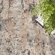 preview thumbnail 43 of 74, Nourison Quarry Indoor only Abstract Area Rug