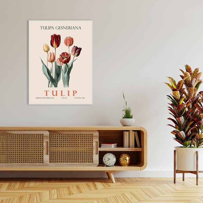 Vintage Botanical Tulip Illustration by Christopher Giampietro Framed Canvas Wall Art Print