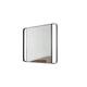 Posh Pollen Madeleine Rectangle Metal Mirror