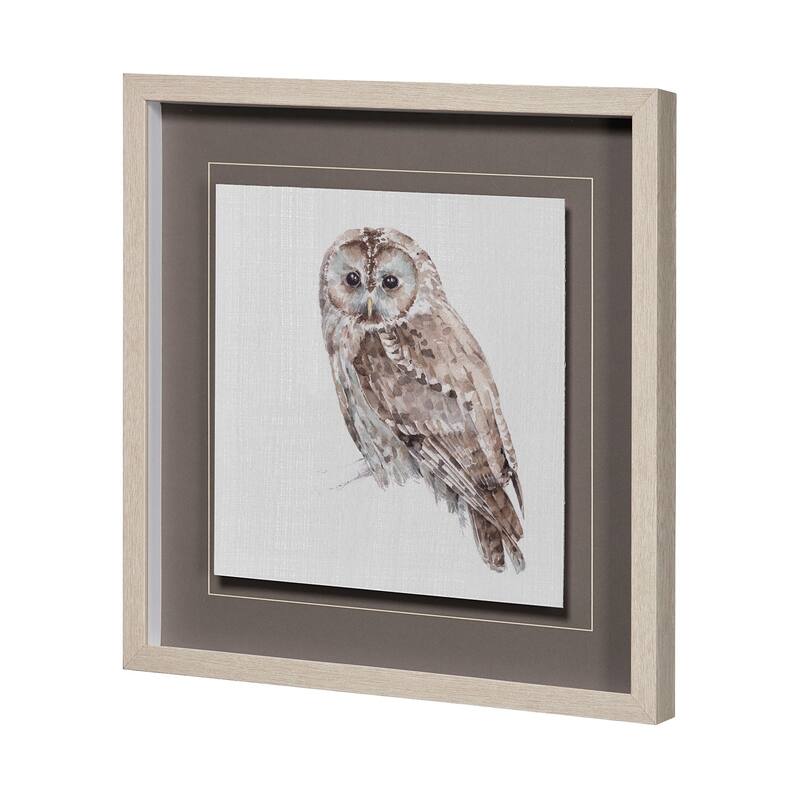 Forest Friends IX (Owl) Framed Art Print