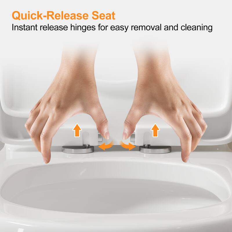 1 Piece Dual Flush Toilet White 0.8 1.28 GPF Seat Included