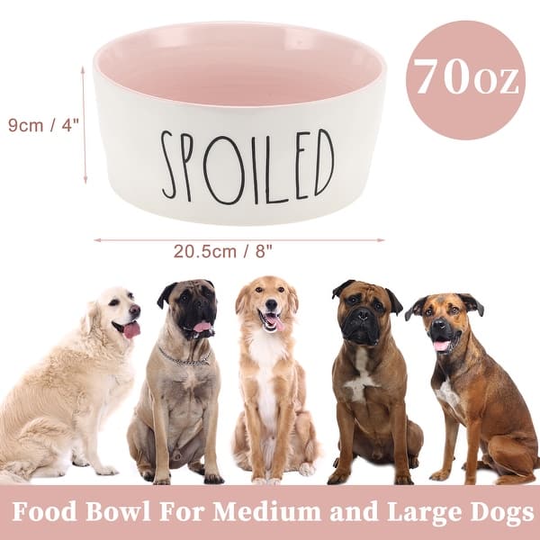 tough dog toys for chewers Surprise Box of Super Tough Dog Toys