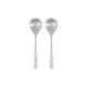 Option Silver