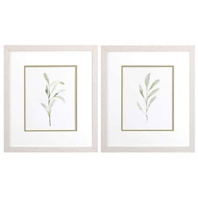 Olive Leaves S/2 Framed Art Under glass