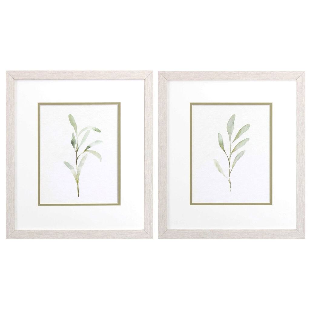 Olive Leaves S/2 Framed Art Under glass