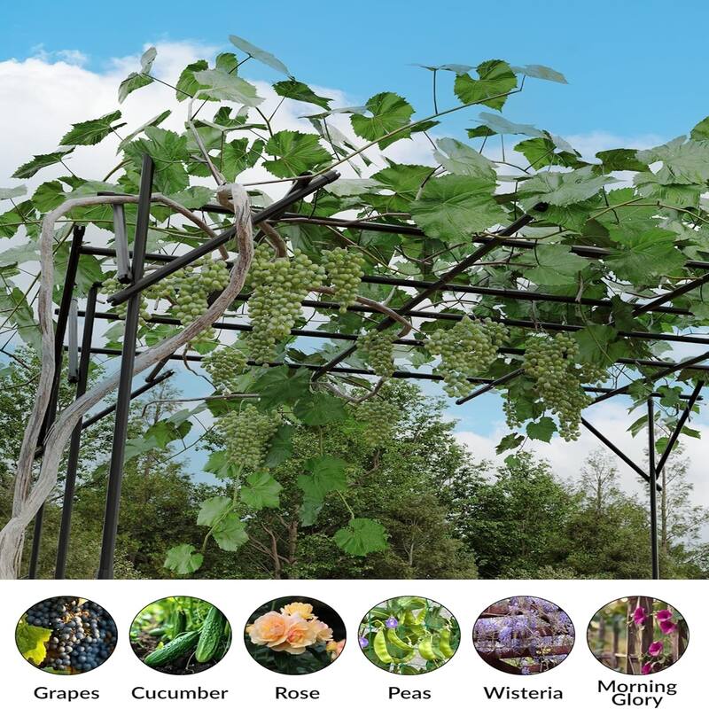 6.62 ft Metal Garden Arch Trellis - Powder-Coated Outdoor Arbor for Climbing Plants Weddings and Patio Decor Easy to Assemble